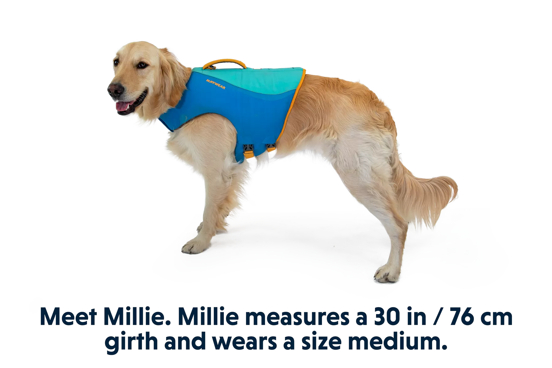 Float Coat™ Dog Life Jacket