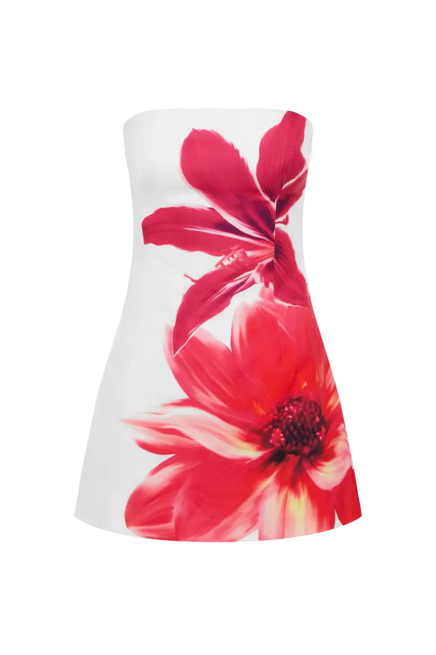 Prim Mini Dress - Tropical Flower