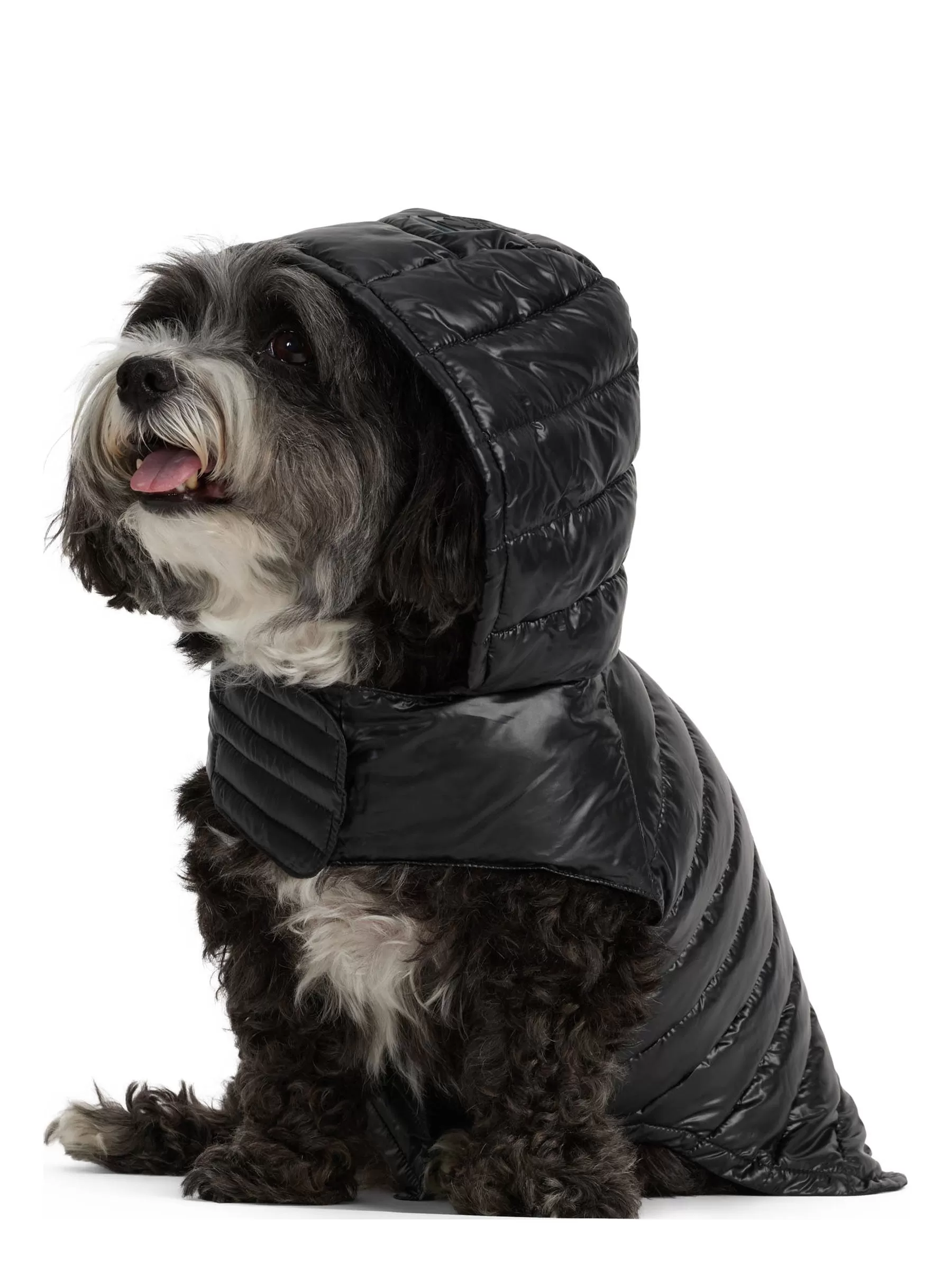 Seymour Lightweight Puffer for Dogs