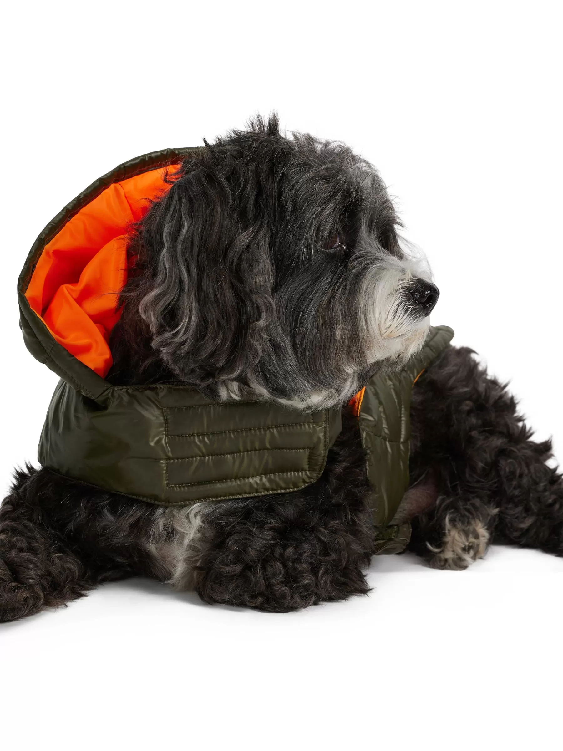 Seymour Lightweight Puffer for Dogs